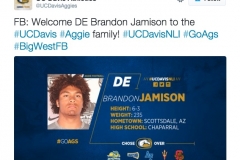 Jamison
